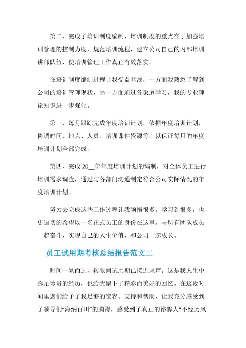 员工试用期考核总结报告.doc_第2页