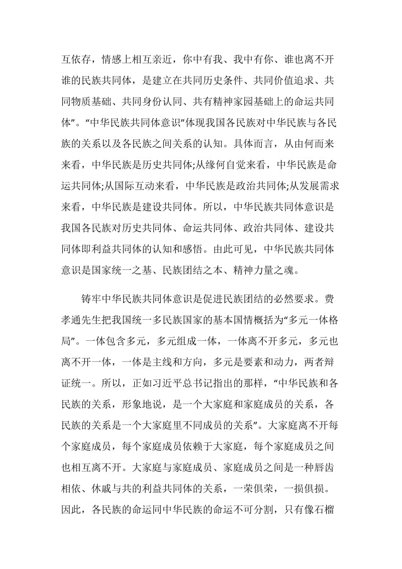 2020铸牢中华民族共同体意识演讲征文5篇.doc_第2页