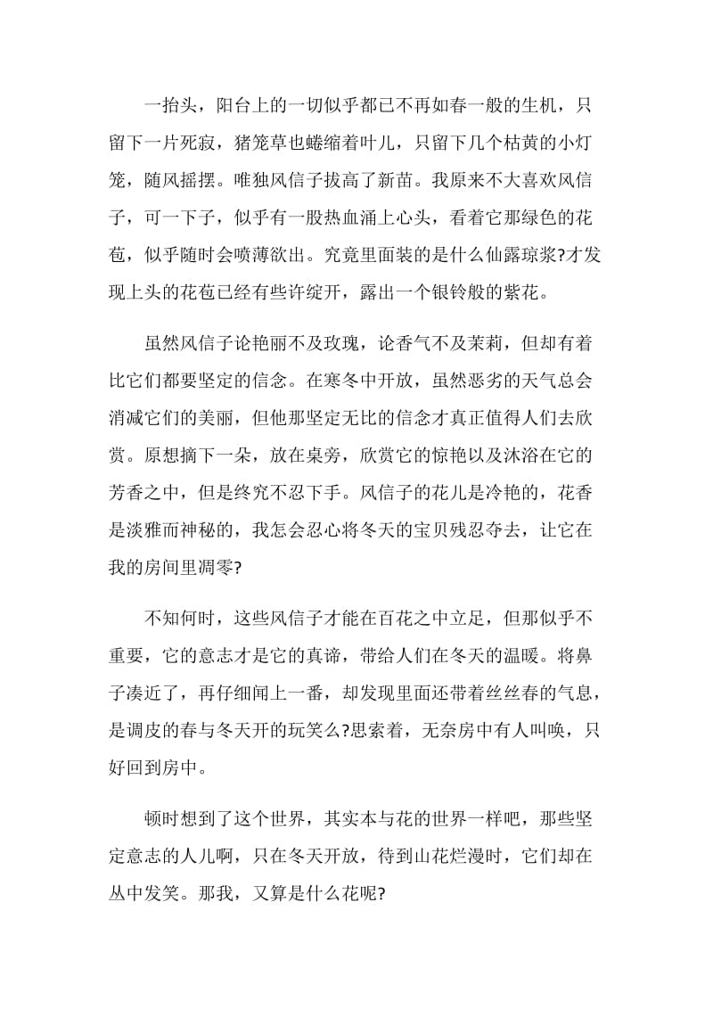 寒假里发生的事作文七年级.doc_第3页