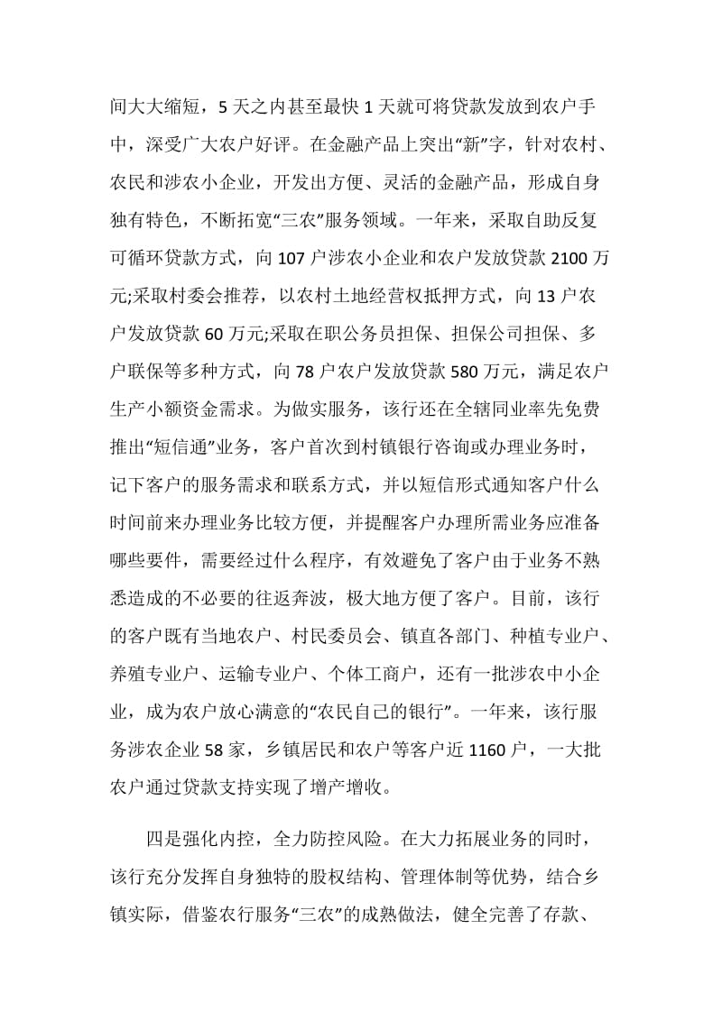 村镇银行年度工作总结模板.doc_第3页