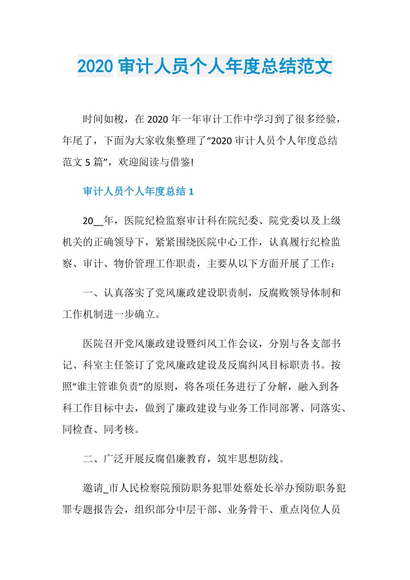 2020审计人员个人年度总结范文.doc_第1页