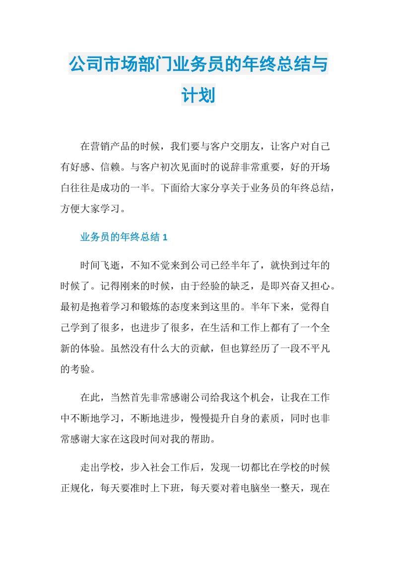 公司市场部门业务员的年终总结与计划.doc_第1页