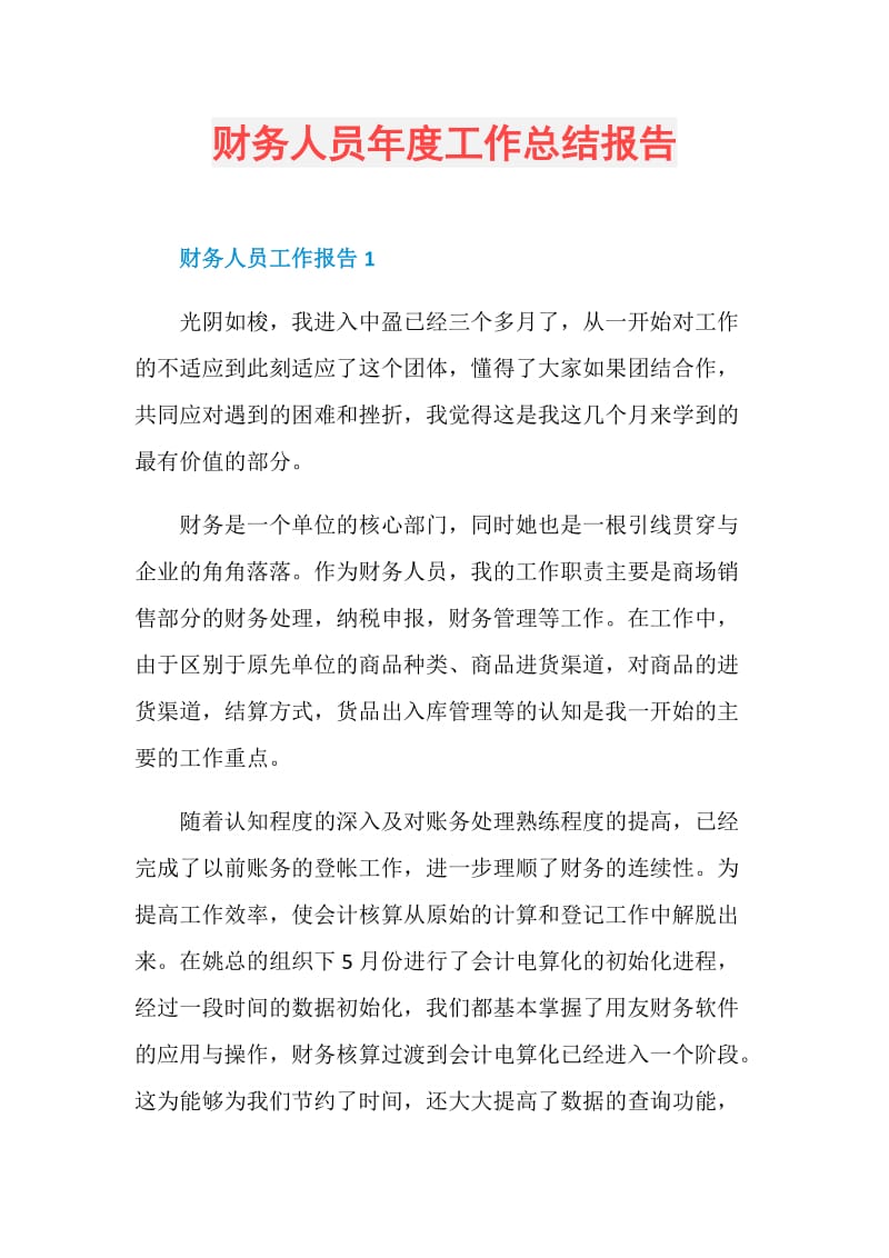 财务人员年度工作总结报告.doc_第1页