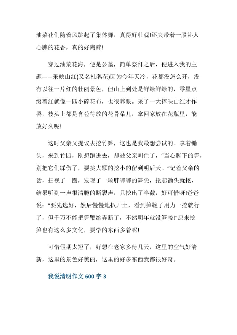 我说清明作文600字.doc_第3页