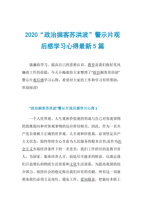 2020“政治掮客苏洪波”警示片观后感学习心得最新5篇.doc