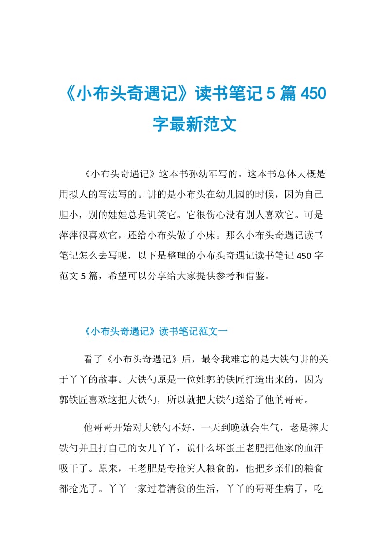 《小布头奇遇记》读书笔记5篇450字最新范文.doc_第1页