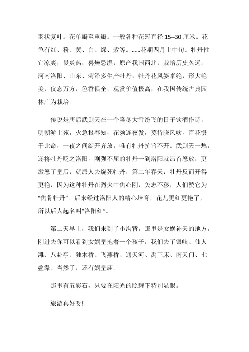 洛阳游记初二优秀作文集锦700字.doc_第3页
