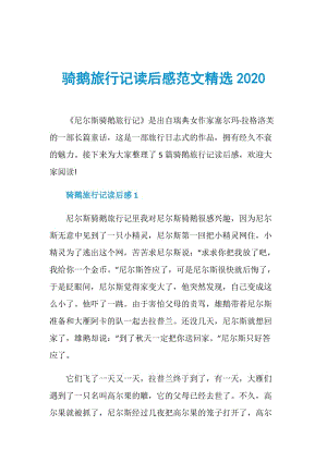 骑鹅旅行记读后感范文精选2020.doc