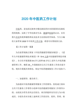 2020年中医药工作计划.doc