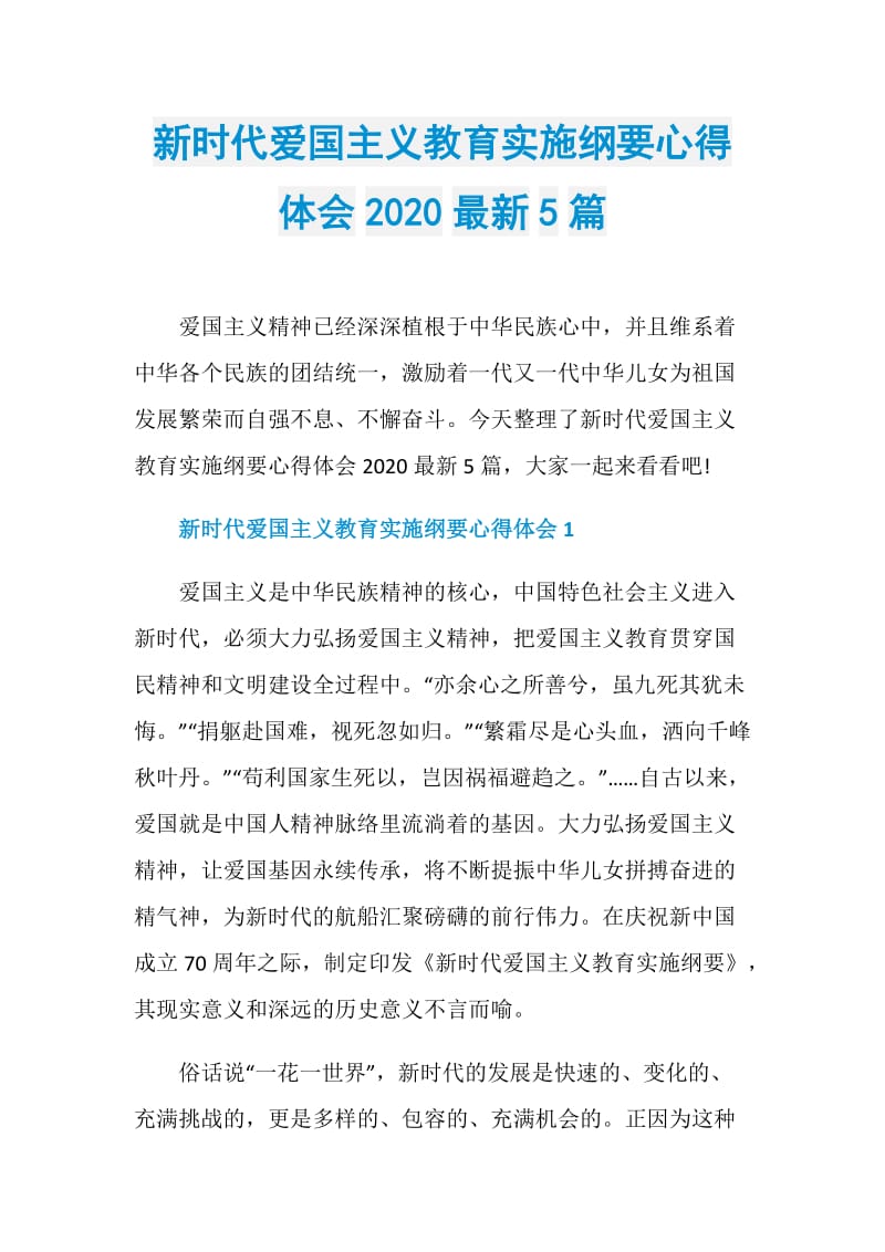 新时代爱国主义教育实施纲要心得体会2020最新5篇.doc_第1页