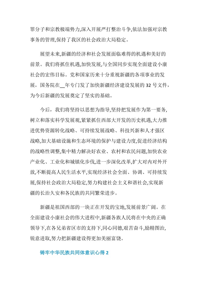 铸牢中华民族共同体意识个人心得体会.doc_第3页