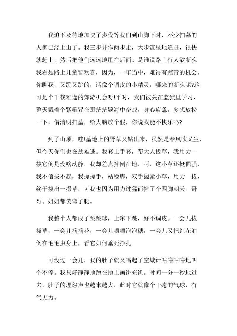 关于清明节踏青的作文.doc_第3页