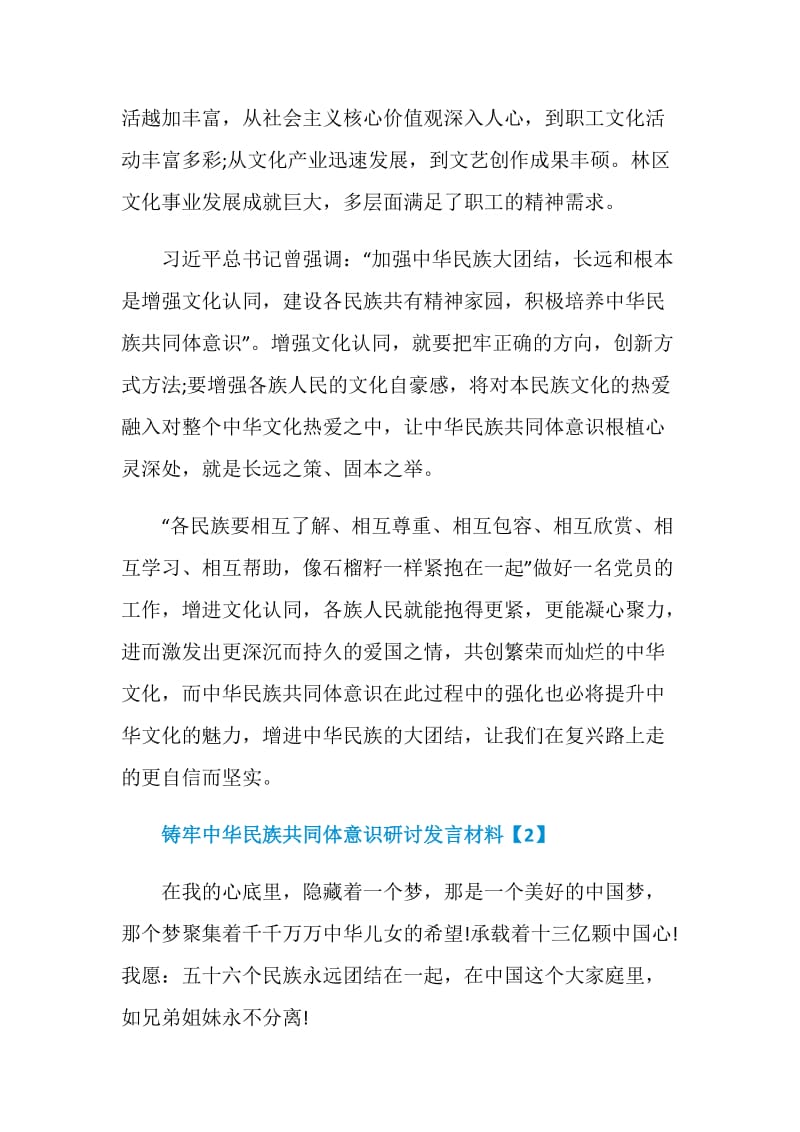 铸牢中华民族共同体意识研讨发言材料.doc_第2页