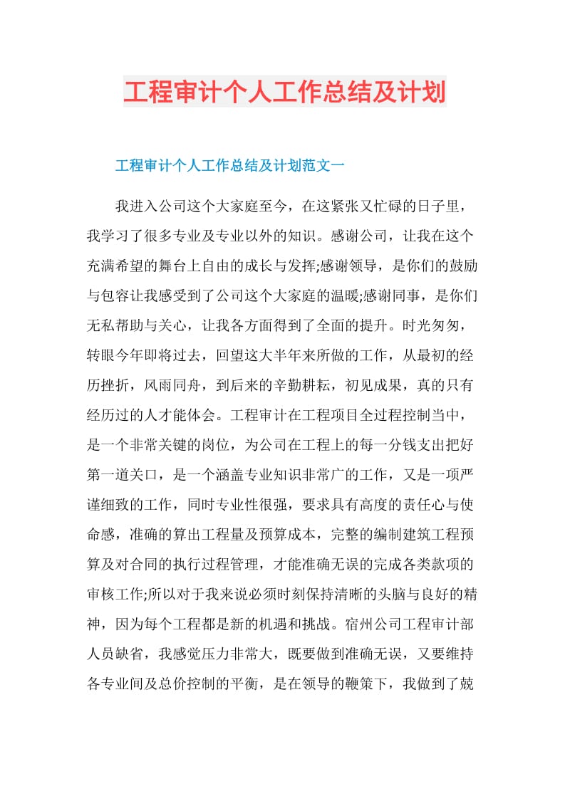 工程审计个人工作总结及计划.doc_第1页