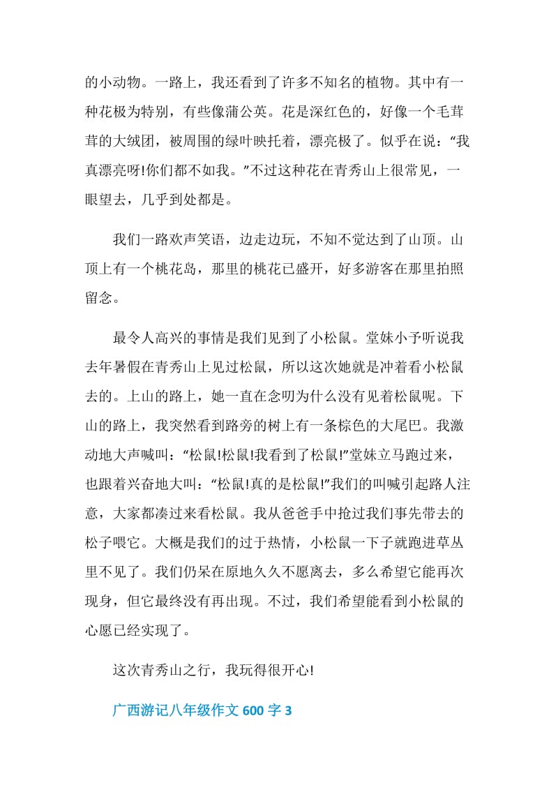 广西游记八年级作文600字.doc_第3页
