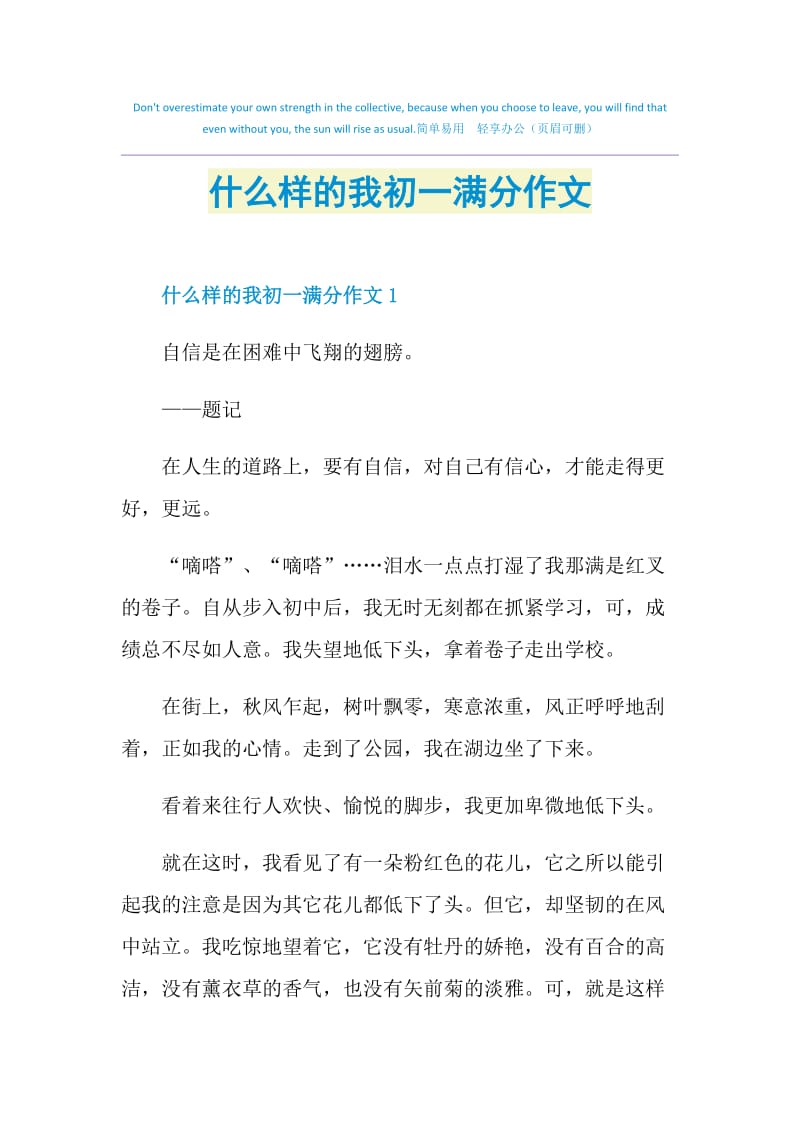 什么样的我初一满分作文.doc_第1页