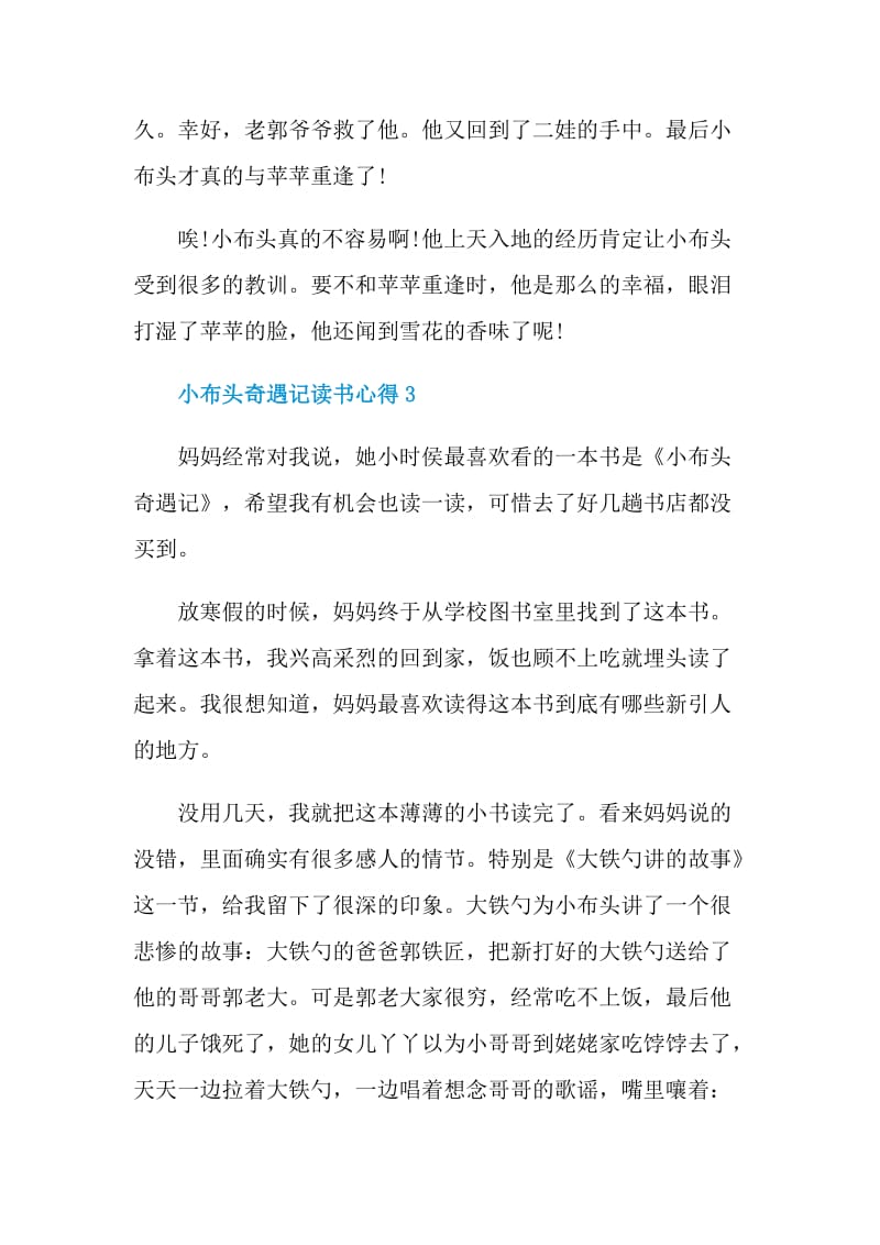 小布头奇遇记读书心得.doc_第3页