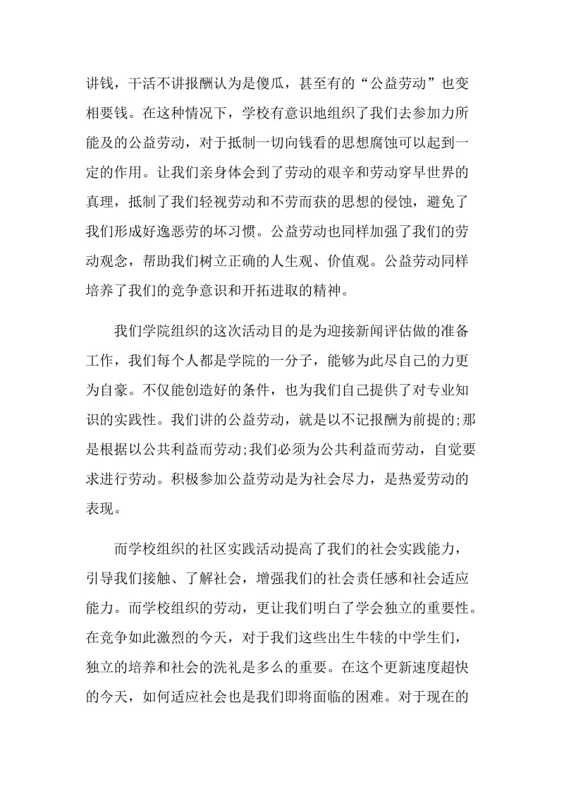 公益活动个人总结.doc_第2页