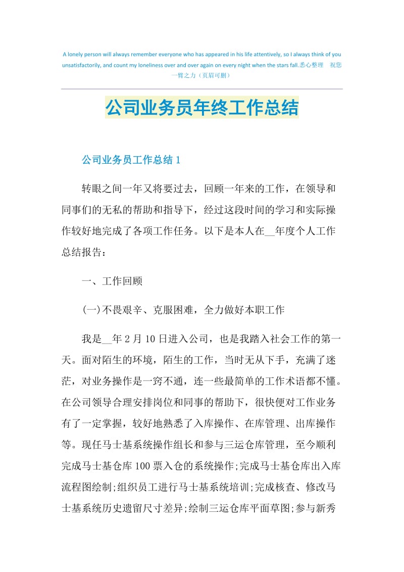 公司业务员年终工作总结_1.doc_第1页