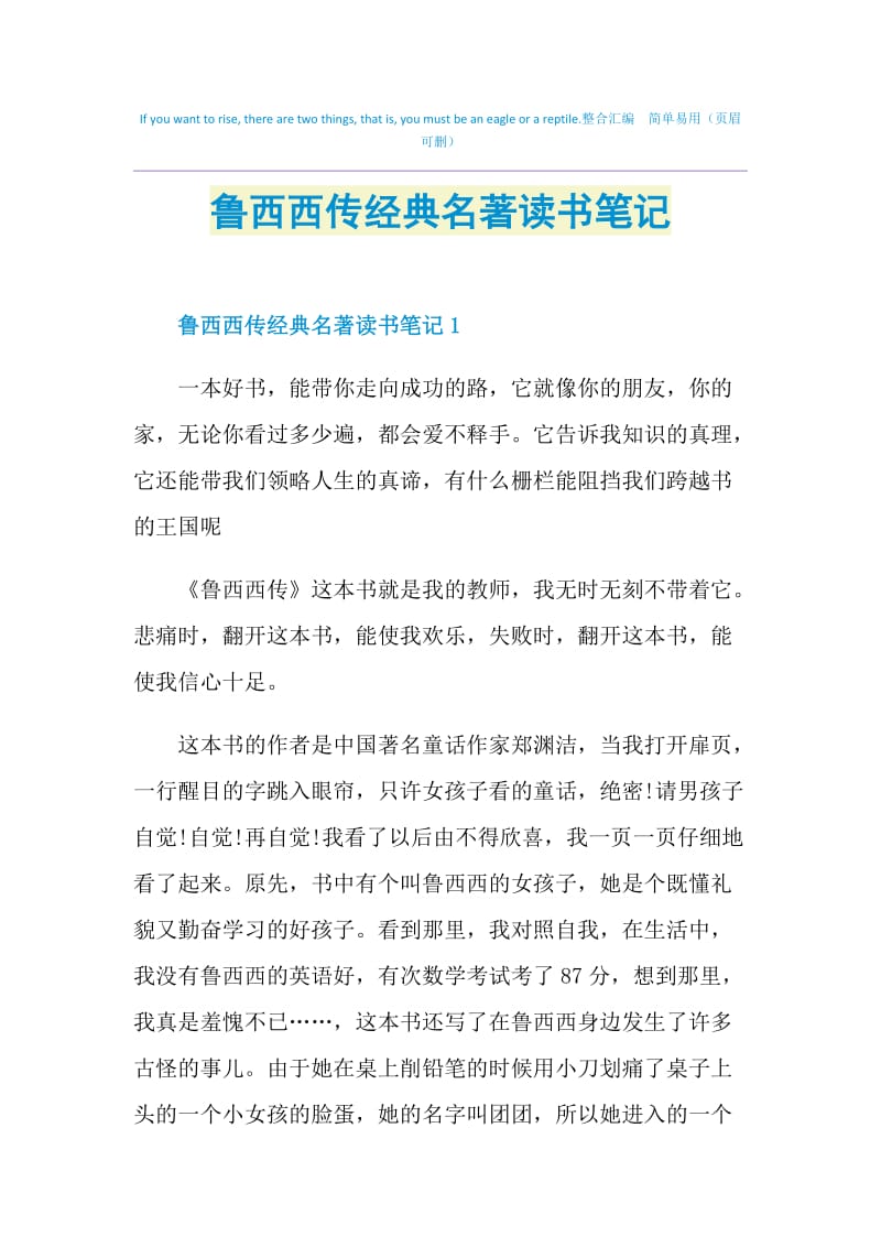 鲁西西传经典名著读书笔记.doc_第1页