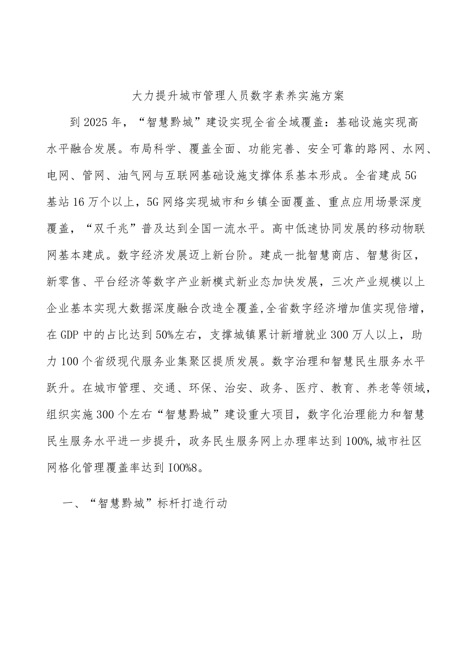 大力提升城市管理人员数字素养实施方案.docx_第1页