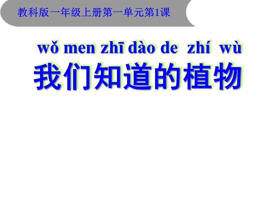 教科版小学科学一年级上册：11我们知道的植物课件.ppt_第1页