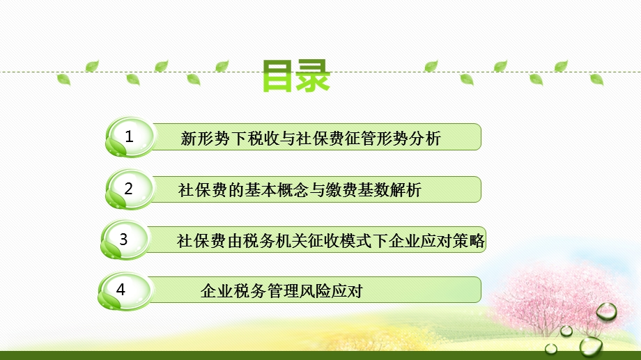 新形势下社保深度解析与企业税务管理风险电子版课件.pptx_第3页