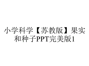 小学科学【苏教版】果实和种子PPT完美版1.ppt