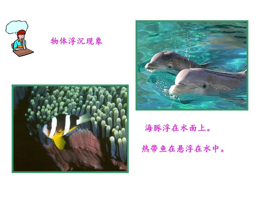 沪科版：八年级物理《物体的浮与沉》课件.ppt_第3页