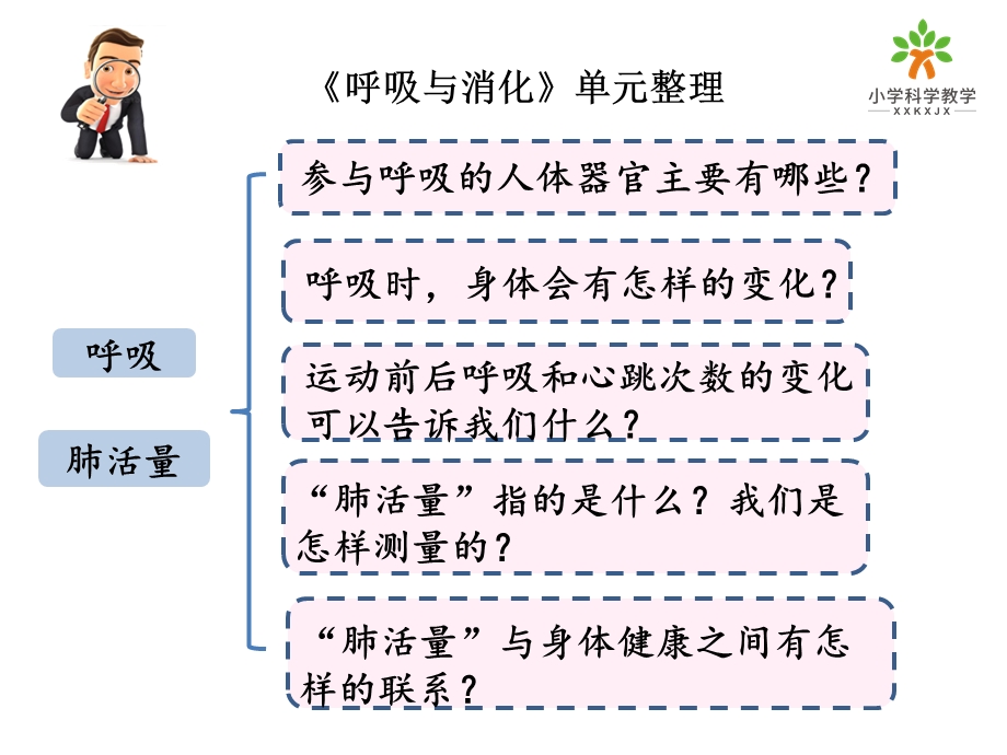 教科版小学科学四上第二单元《呼吸与消化》单元整理ppt课件.pptx_第3页