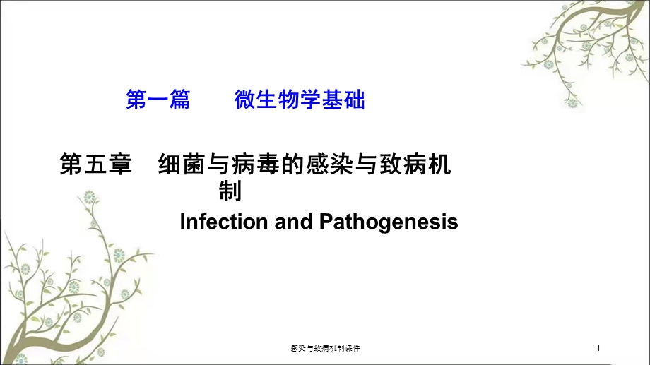 感染与致病机制课件.ppt_第1页