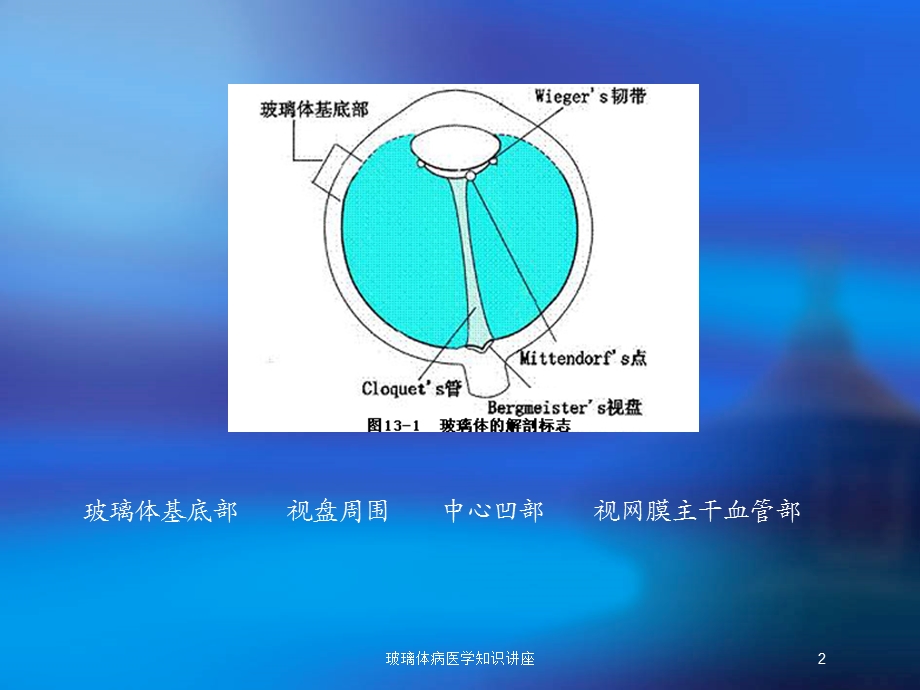 玻璃体病医学知识讲座培训课件.ppt_第2页