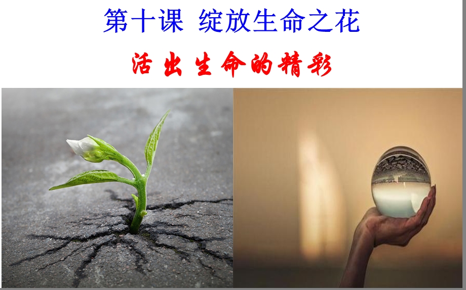 活出生命的精彩p课件.ppt_第1页