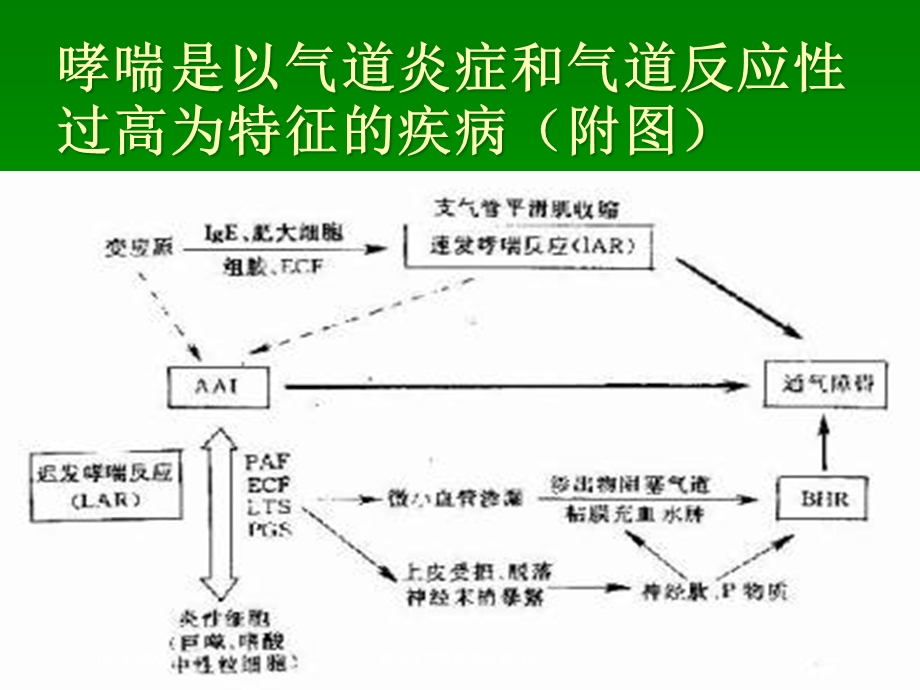 常用支气管哮喘药物介绍课件.ppt_第3页