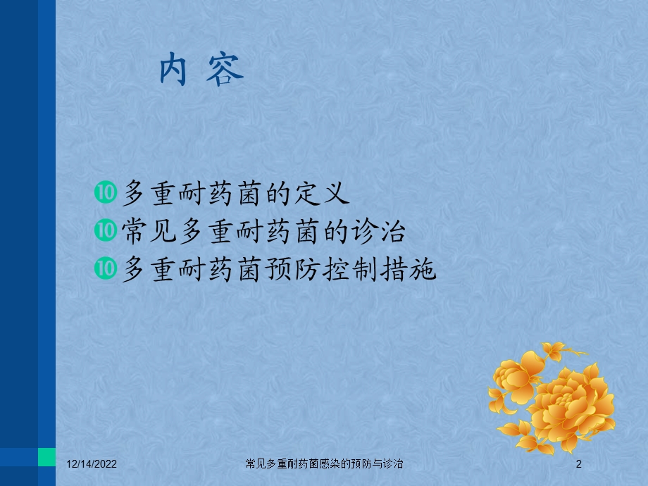 常见多重耐药菌感染的预防与诊治培训课件.ppt_第2页