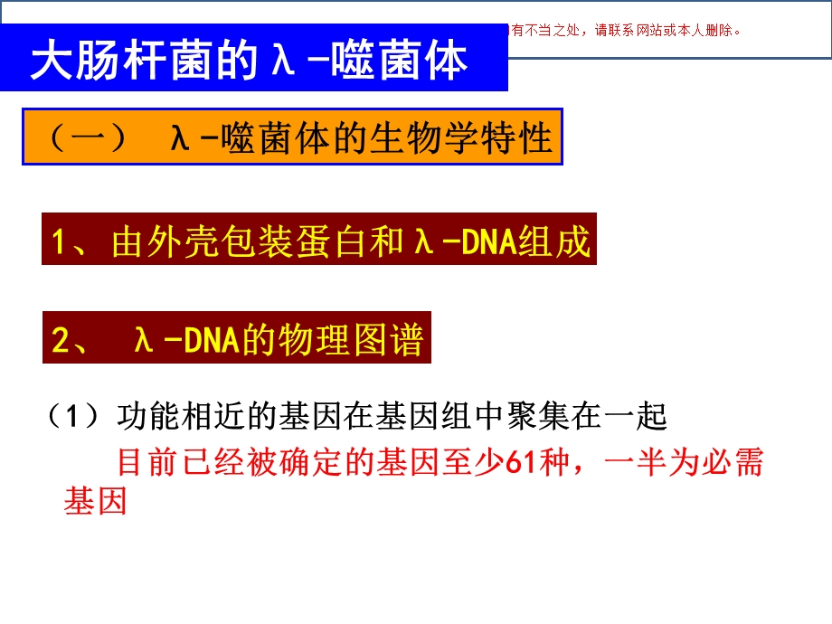 大肠杆菌的噬菌体培训课件.ppt_第3页