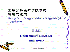 常用的分子生物学技术原理及应用课件.ppt