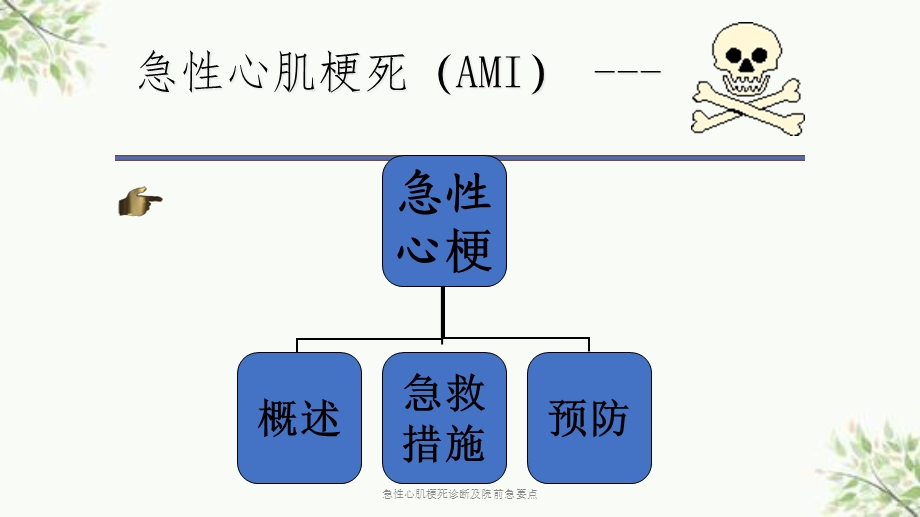 急性心肌梗死诊断及院前急要点课件.ppt_第2页