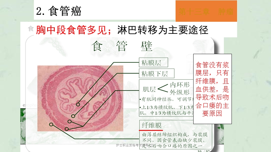 护士职业资格考试辅导(三)课件.ppt_第3页