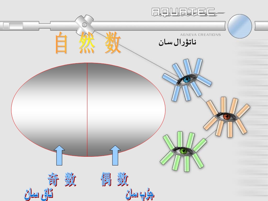 数学【人教版】五年级下质数和合数ppt课件3哈语.ppt_第3页