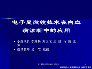 电子显微镜技术在白血病诊断的应用课件.ppt