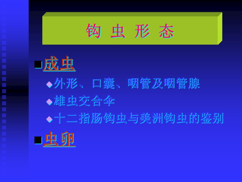 寄生虫钩蛲课件.ppt_第3页