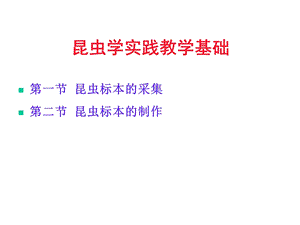 昆虫学实践教学基础课件.ppt