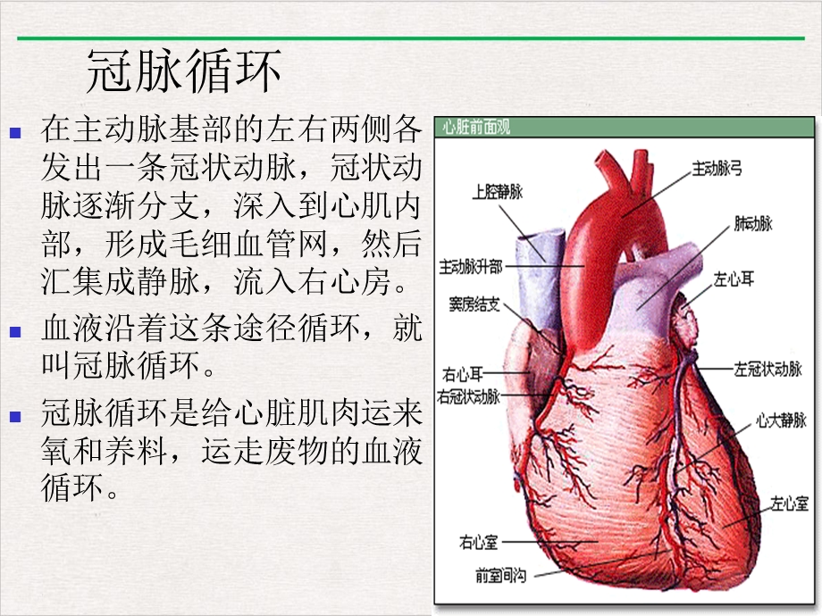 抗心肌缺血及抗动脉粥样硬化药课件.ppt_第3页