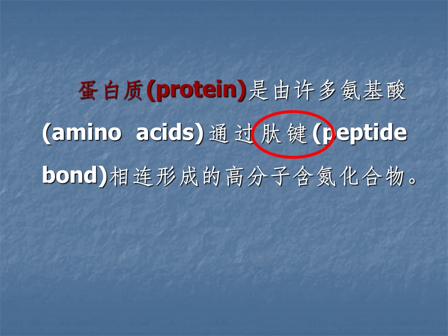 生物化学蛋白质的结构与功能课件.ppt_第2页