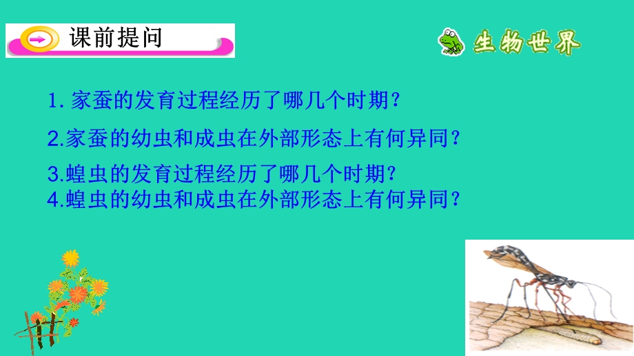 新人教版八年级生物下册第三节两栖动物的生殖和发育课件.ppt_第1页