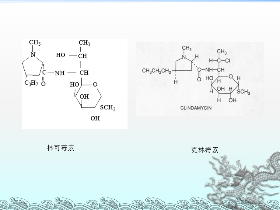 林可霉素及其他抗生素课件.ppt_第3页