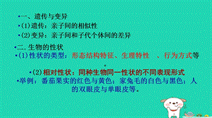 新人教版八年级生物下册第七单元第二章第二节基因在亲子代间的传递课件.ppt