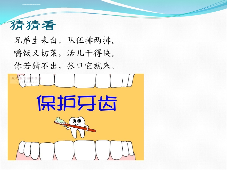 幼儿园健康课—保护牙齿ppt课件.ppt_第2页