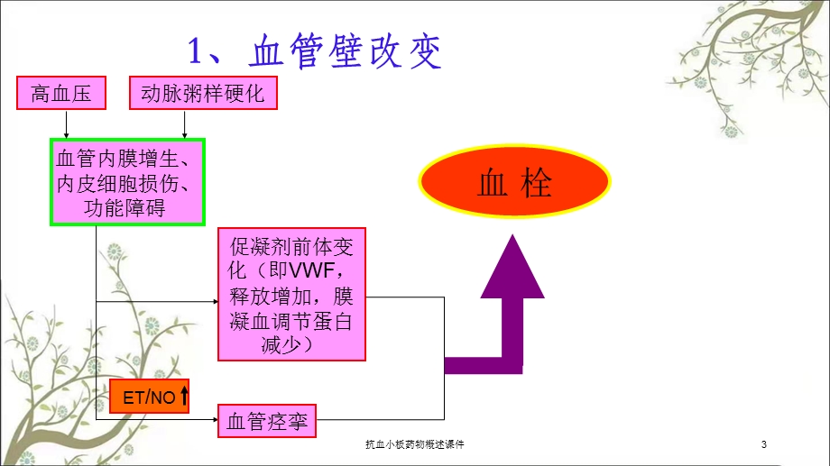 抗血小板药物概述课件.ppt_第3页